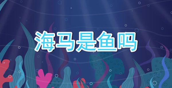 海马是鱼吗