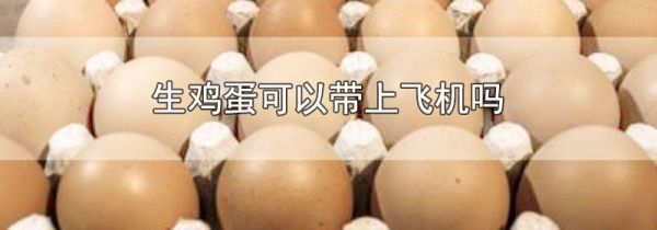 生鸡蛋可以带上飞机吗