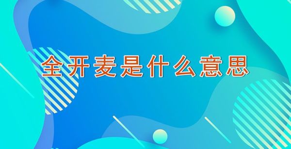 全开麦是什么意思