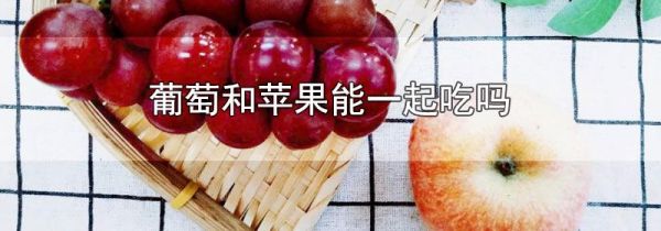 葡萄和苹果能一起吃吗