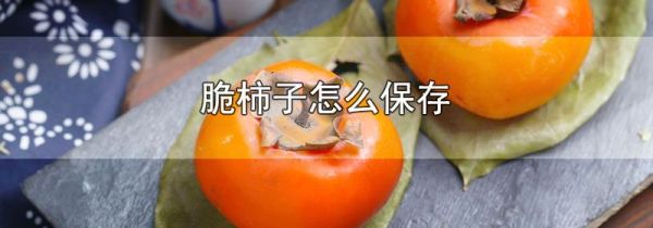 脆柿子怎么保存