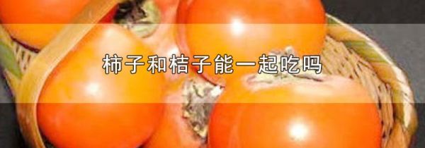 柿子和桔子能一起吃吗