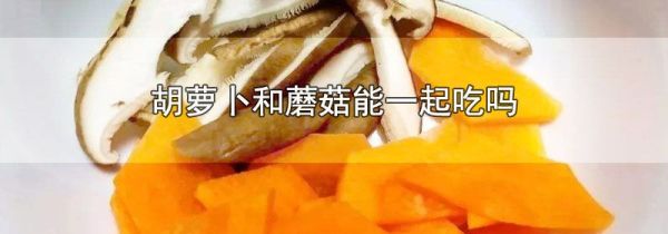 胡萝卜和蘑菇能一起吃吗