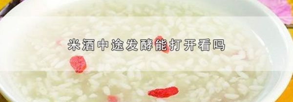 米酒中途发酵能打开看吗