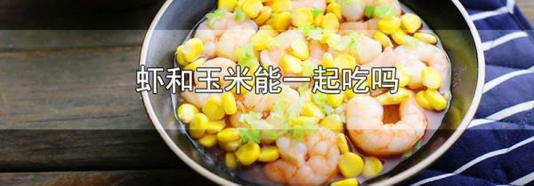虾和玉米能一起吃吗