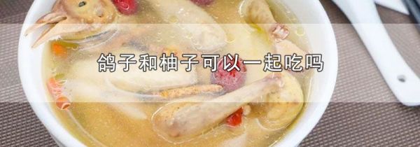 鸽子和柚子可以一起吃吗