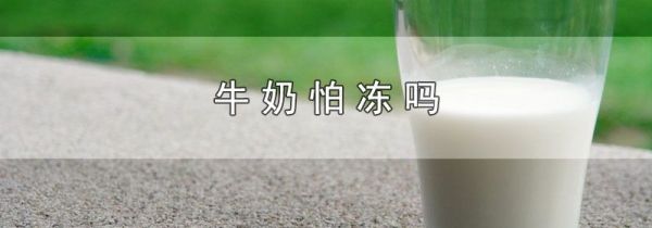 牛奶怕冻吗