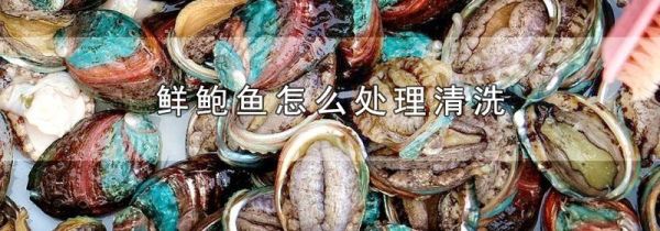 鲜鲍鱼怎么处理清洗