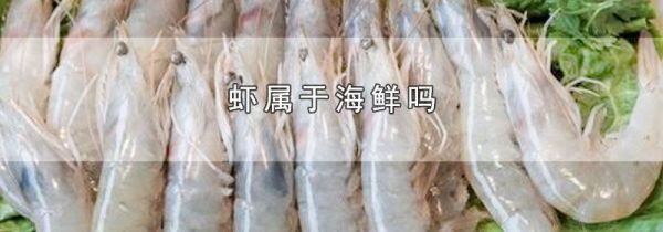 虾属于海鲜吗