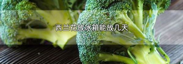 西兰花放冰箱能放几天