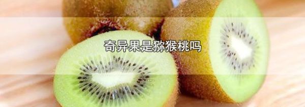 奇异果是猕猴桃吗