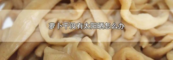 萝卜干没有太阳晒怎么办