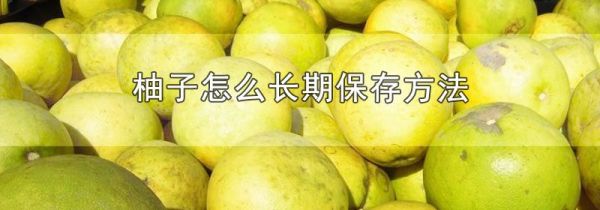 柚子怎么长期保存方法