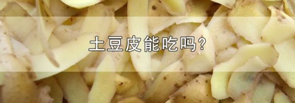 土豆皮能吃吗?
