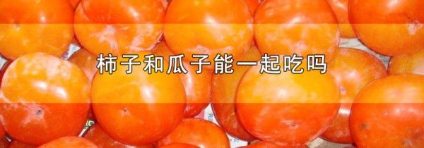 柿子和瓜子能一起吃吗