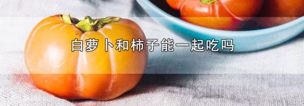 白萝卜和柿子能一起吃吗
