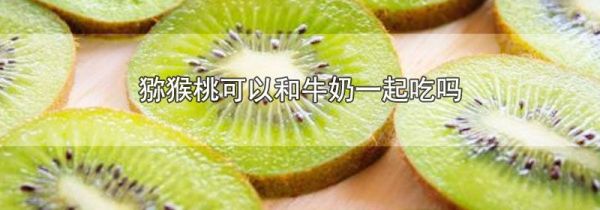 猕猴桃可以和牛奶一起吃吗