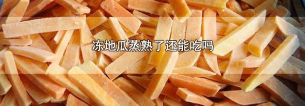 冻地瓜蒸熟了还能吃吗