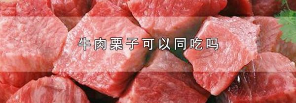 牛肉栗子可以同吃吗