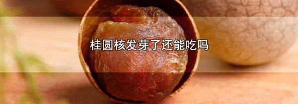 桂圆核发芽了还能吃吗