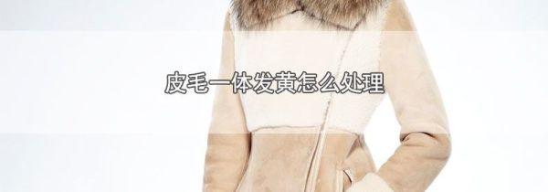 皮毛一体发黄怎么处理