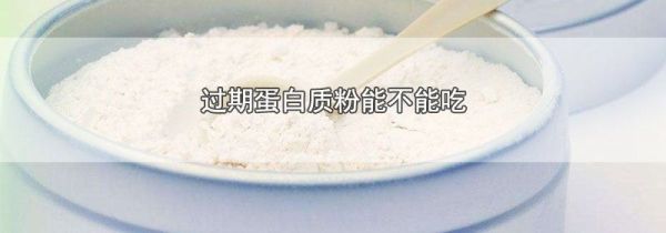 过期蛋白质粉能不能吃