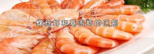 螺丝虾和基围虾的区别