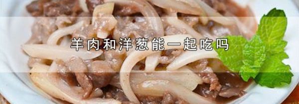 羊肉和洋葱能一起吃吗