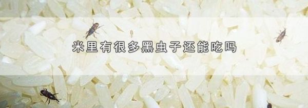 米里有很多黑虫子还能吃吗
