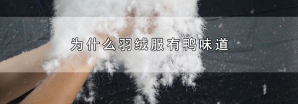 为什么羽绒服有鸭味道
