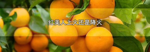 红美人上火还是降火