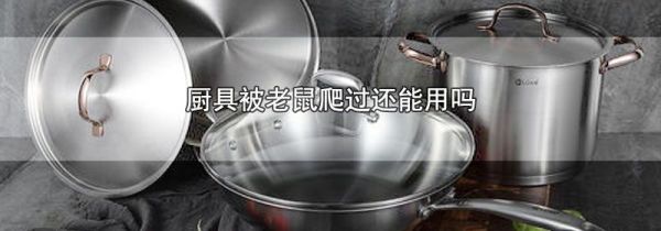 厨具被老鼠爬过还能用吗