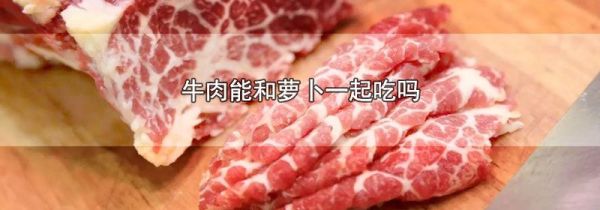 牛肉能和萝卜一起吃吗