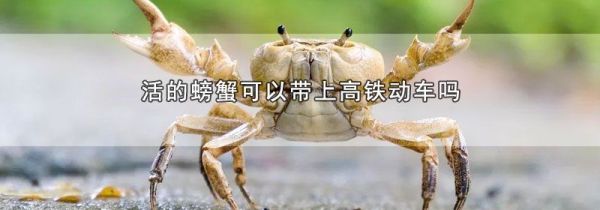 活的螃蟹可以带上高铁动车吗