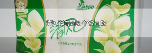 清风纸巾是哪个公司的