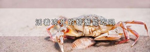 活着冻死的螃蟹能吃吗