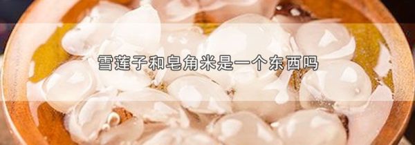 雪莲子和皂角米是一个东西吗