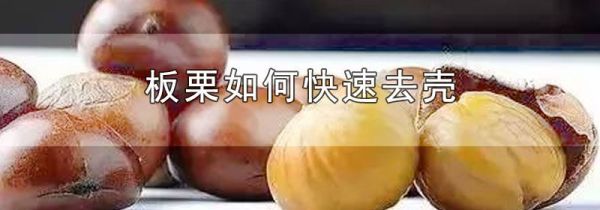 板栗如何快速去壳