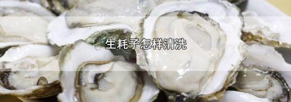 生耗子怎样清洗