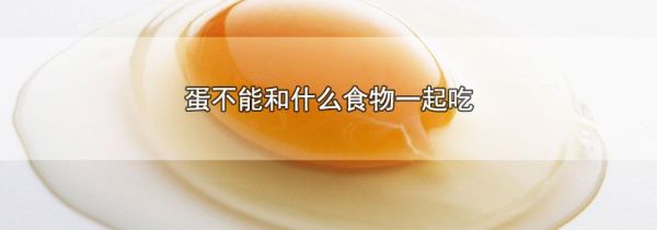 蛋不能和什么食物一起吃