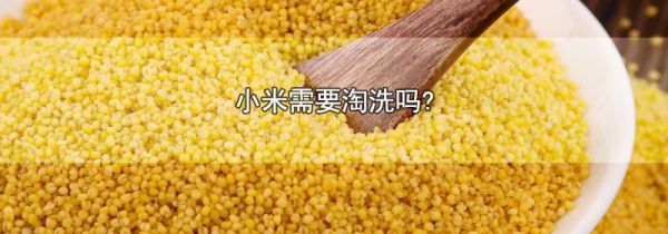 小米需要淘洗吗?