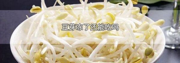 豆芽冻了还能吃吗