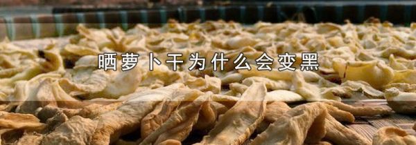晒萝卜干为什么会变黑