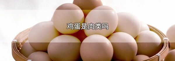 鸡蛋是肉类吗