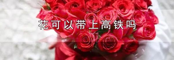 花可以带上高铁吗