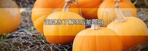 南瓜冻了解冻后能吃吗