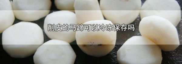 削皮的马蹄可以冷冻保存吗