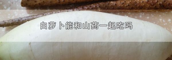 白萝卜能和山药一起吃吗