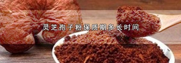 灵芝孢子粉保质期多长时间