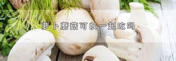 萝卜蘑菇可以一起吃吗